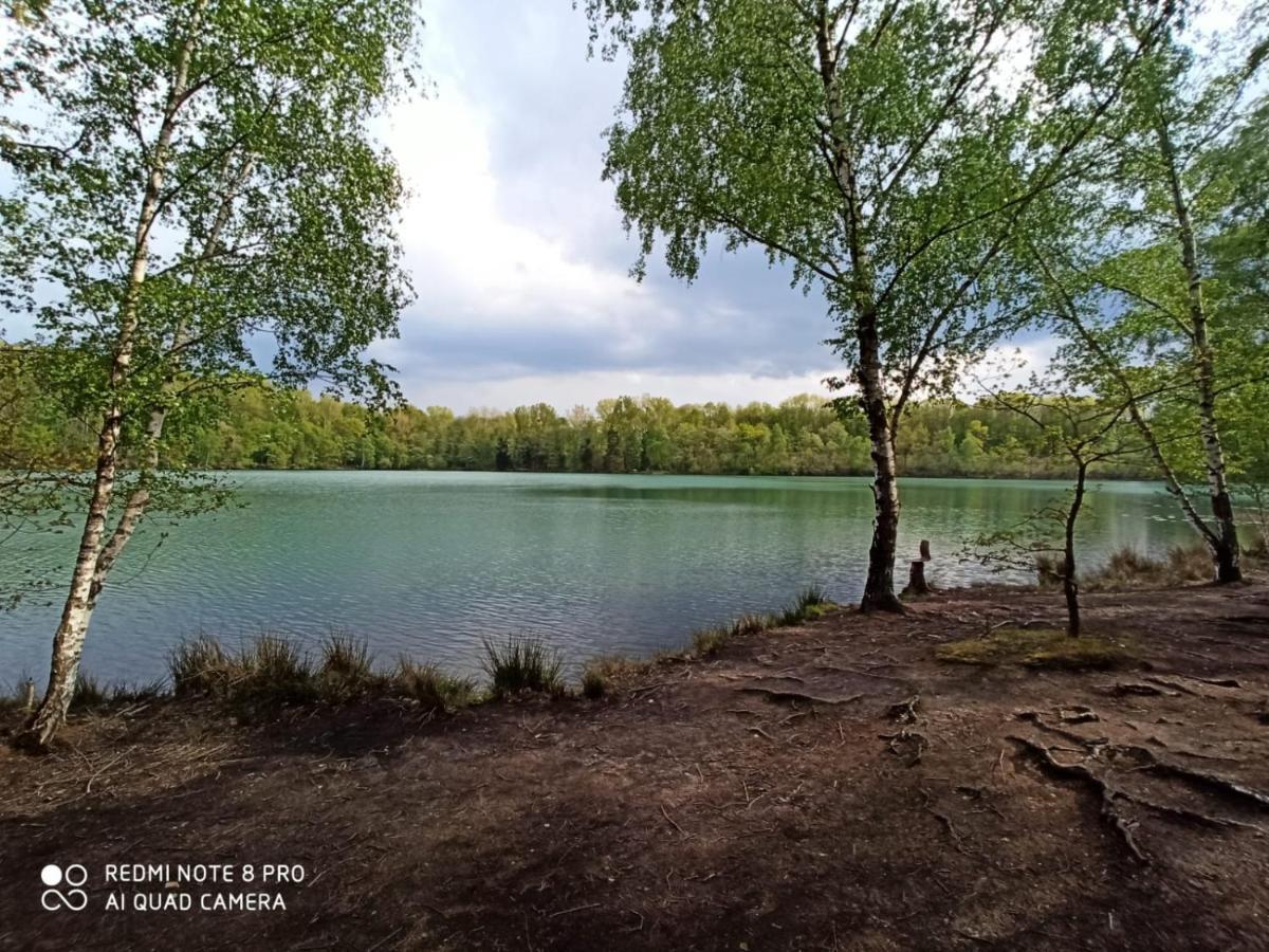 Ferienwohnung Colin Im Schoenen Weserbergland Naehe Freizeitpark Salzhemmendorf Exteriér fotografie