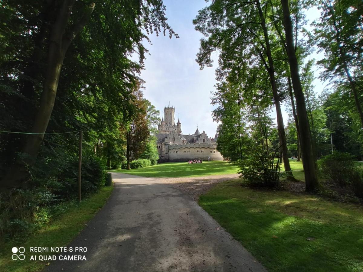 Ferienwohnung Colin Im Schoenen Weserbergland Naehe Freizeitpark Salzhemmendorf Exteriér fotografie