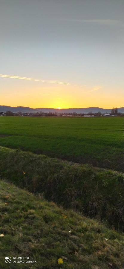 Ferienwohnung Colin Im Schoenen Weserbergland Naehe Freizeitpark Salzhemmendorf Exteriér fotografie